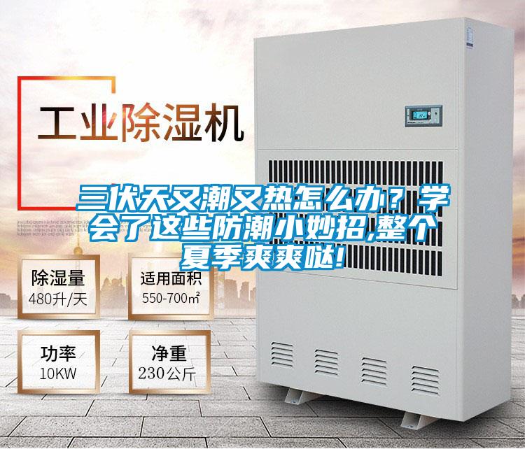 三伏天又潮又熱怎么辦？學會了這些防潮小妙招,整個夏季爽爽噠!