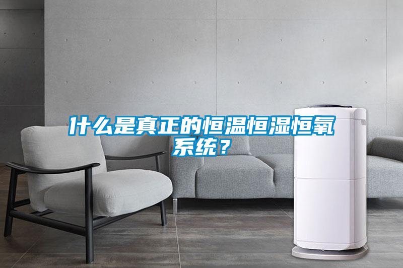 什么是真正的恒溫恒濕恒氧系統？