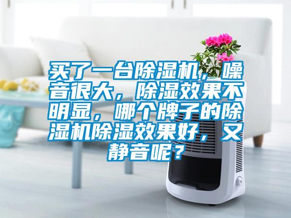買了一臺除濕機，噪音很大，除濕效果不明顯，哪個牌子的除濕機除濕效果好，又靜音呢？