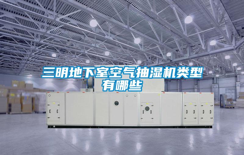三明地下室空氣抽濕機類型有哪些