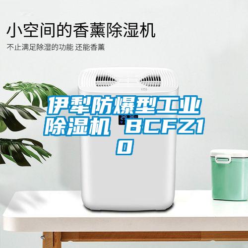 伊犁防爆型工業除濕機 BCFZ10