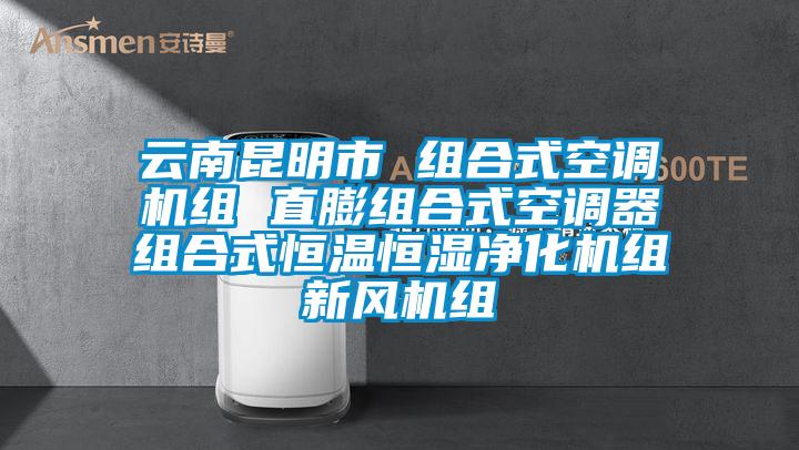 云南昆明市 組合式空調(diào)機(jī)組 直膨組合式空調(diào)器組合式恒溫恒濕凈化機(jī)組新風(fēng)機(jī)組