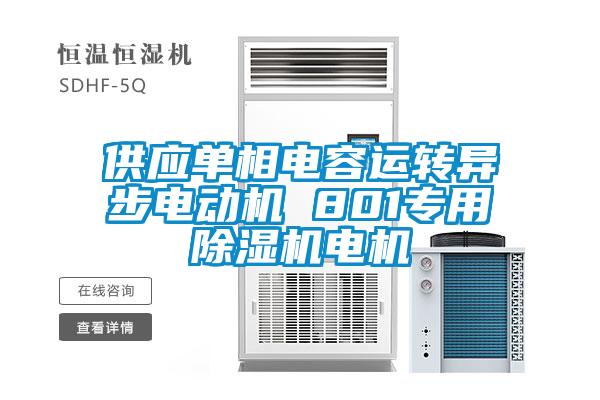 供應(yīng)單相電容運轉(zhuǎn)異步電動機 801專用除濕機電機