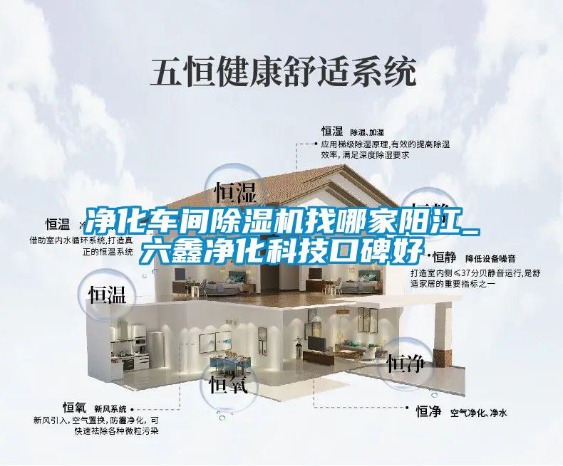 凈化車間除濕機(jī)找哪家陽江_六鑫凈化科技口碑好