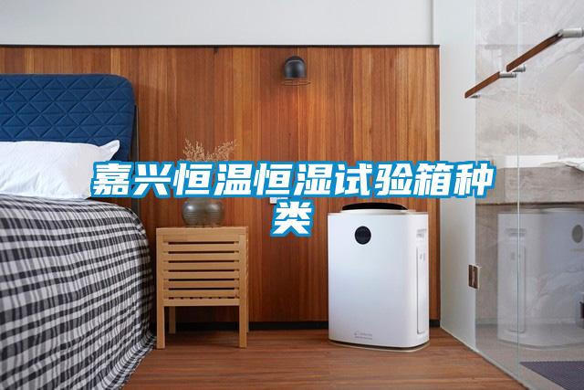 嘉興恒溫恒濕試驗(yàn)箱種類(lèi)