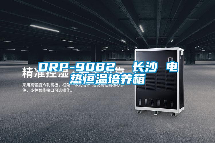 DRP-9082  長沙 電熱恒溫培養(yǎng)箱