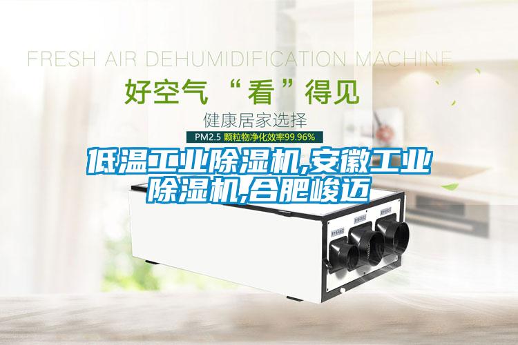 低溫工業除濕機,安徽工業除濕機,合肥峻邁