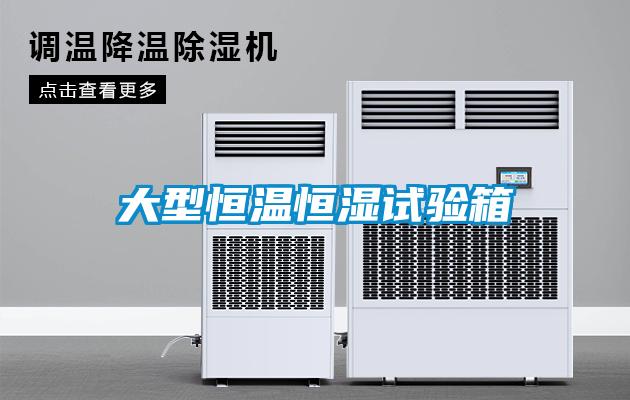 大型恒溫恒濕試驗(yàn)箱