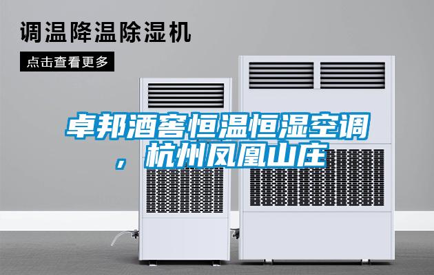 卓邦酒窖恒溫恒濕空調，杭州鳳凰山莊