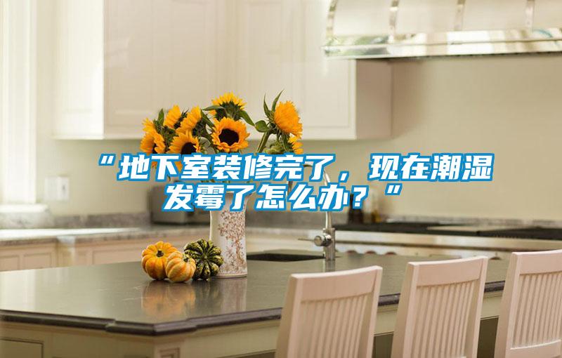 “地下室裝修完了，現在潮濕發霉了怎么辦？”