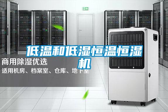 低溫和低濕恒溫恒濕機(jī)