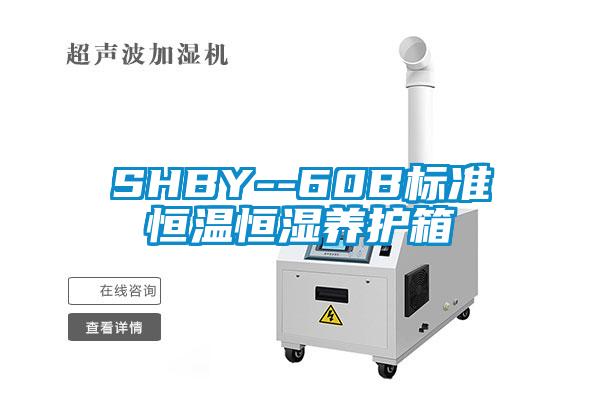 SHBY--60B標準恒溫恒濕養護箱