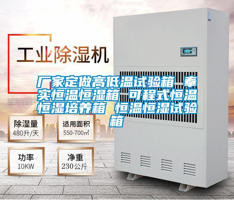 廠家定做高低溫試驗箱 奉實恒溫恒濕箱 可程式恒溫恒濕培養箱 恒溫恒濕試驗箱