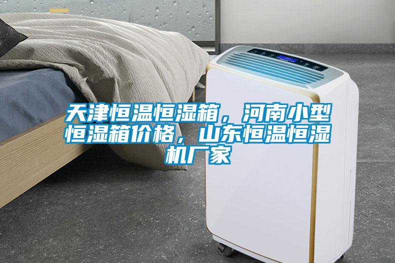 天津恒溫恒濕箱，河南小型恒濕箱價格，山東恒溫恒濕機廠家