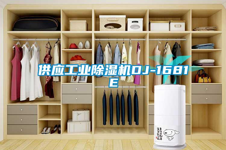 供應(yīng)工業(yè)除濕機(jī)DJ-1681E