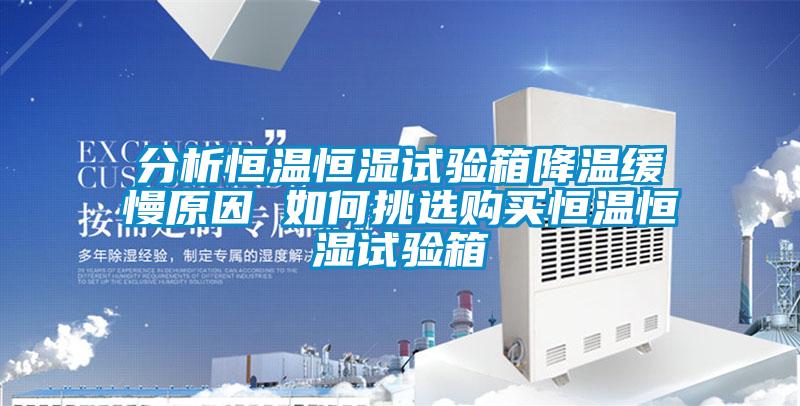分析恒溫恒濕試驗(yàn)箱降溫緩慢原因 如何挑選購(gòu)買(mǎi)恒溫恒濕試驗(yàn)箱