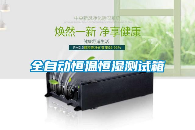 全自動(dòng)恒溫恒濕測(cè)試箱