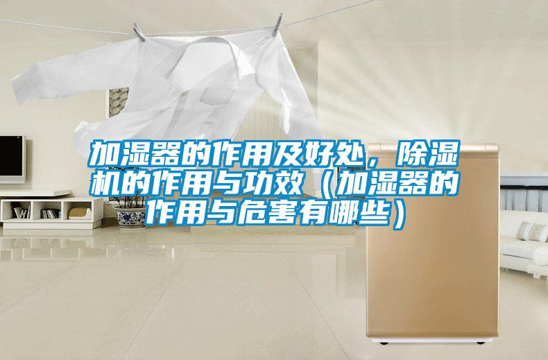 加濕器的作用及好處，除濕機的作用與功效（加濕器的作用與危害有哪些）