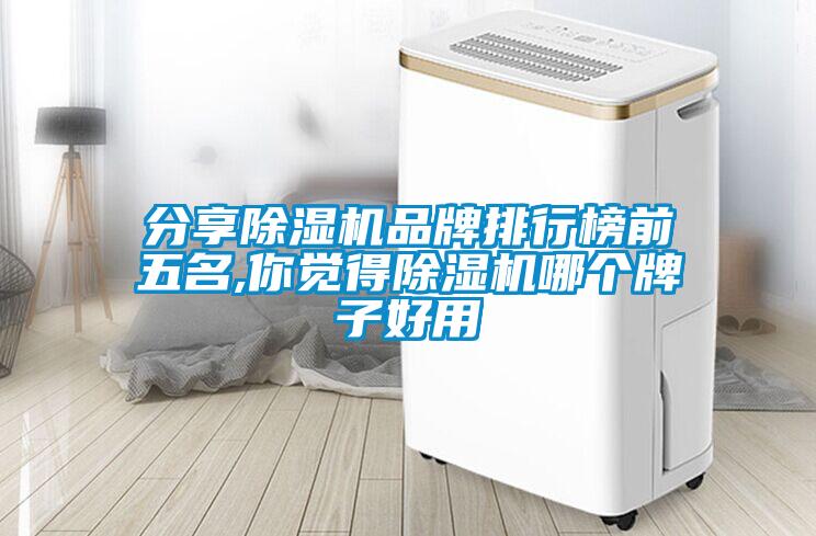 分享除濕機品牌排行榜前五名,你覺得除濕機哪個牌子好用