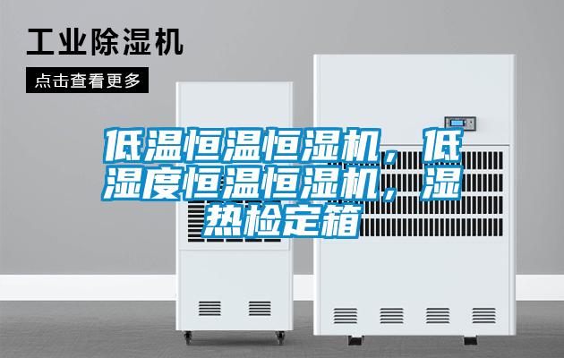 低溫恒溫恒濕機，低濕度恒溫恒濕機，濕熱檢定箱