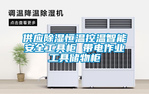 供應(yīng)除濕恒溫控溫智能安全工具柜 帶電作業(yè)工具儲(chǔ)物柜