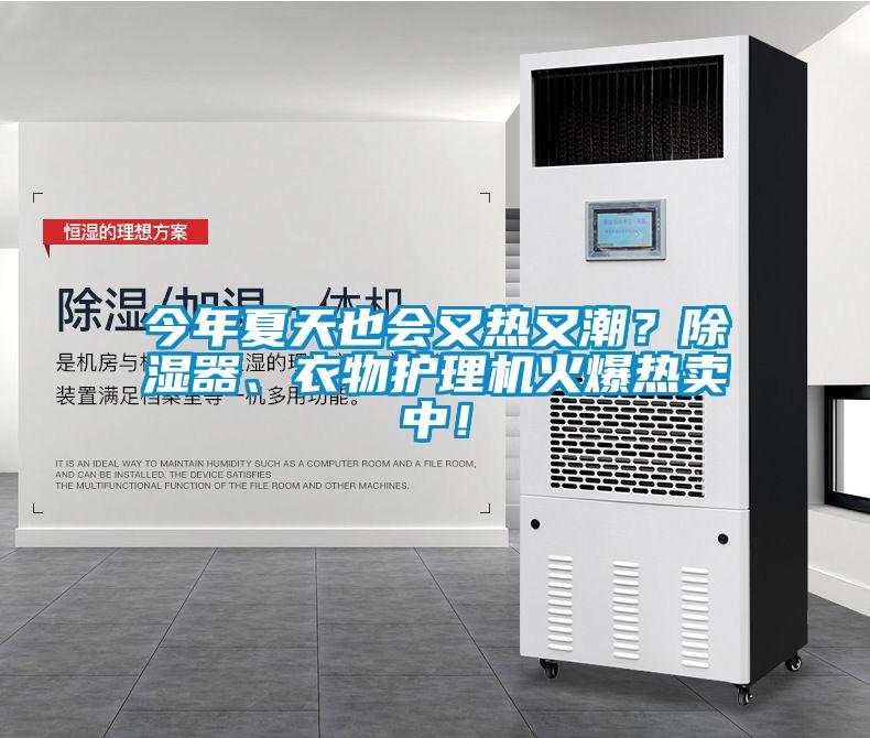 今年夏天也會又熱又潮？除濕器、衣物護理機火爆熱賣中！