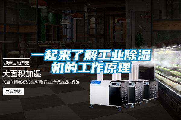 一起來(lái)了解工業(yè)除濕機(jī)的工作原理