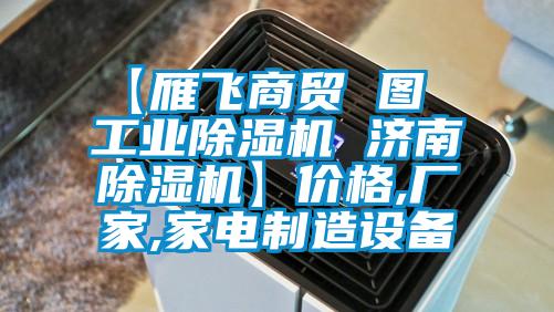 【雁飛商貿(mào) 圖  工業(yè)除濕機 濟南除濕機】價格,廠家,家電制造設備