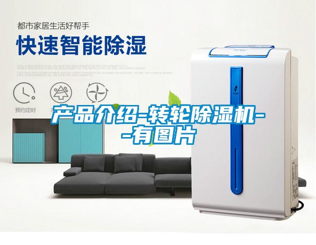 產(chǎn)品介紹-轉(zhuǎn)輪除濕機--有圖片