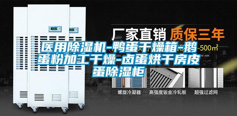 醫(yī)用除濕機(jī)-鴨蛋干燥箱-鵝蛋粉加工干燥-鹵蛋烘干房皮蛋除濕柜