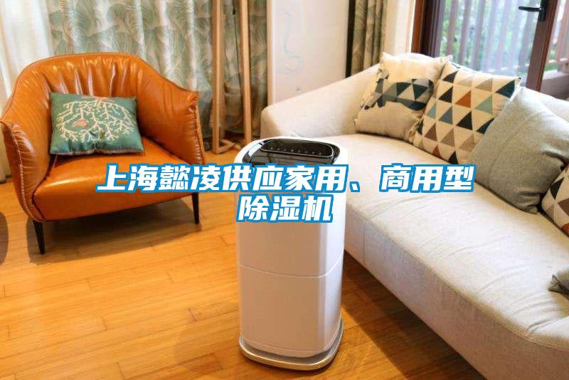 上海懿凌供應(yīng)家用、商用型除濕機(jī)