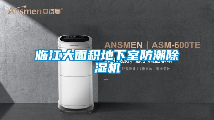 臨江大面積地下室防潮除濕機