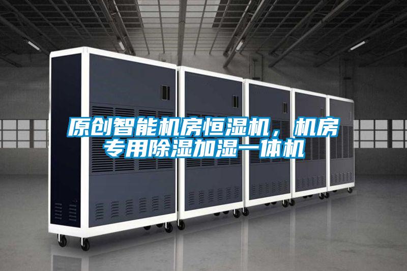 原創(chuàng)智能機房恒濕機，機房專用除濕加濕一體機