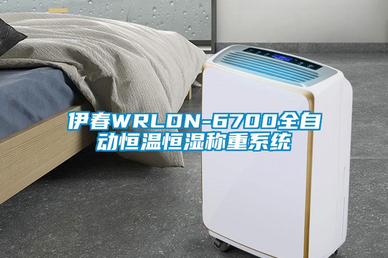 伊春WRLDN-6700全自動恒溫恒濕稱重系統(tǒng)