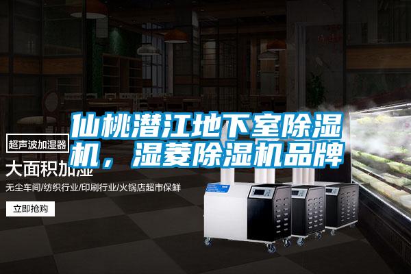 仙桃潛江地下室除濕機，濕菱除濕機品牌