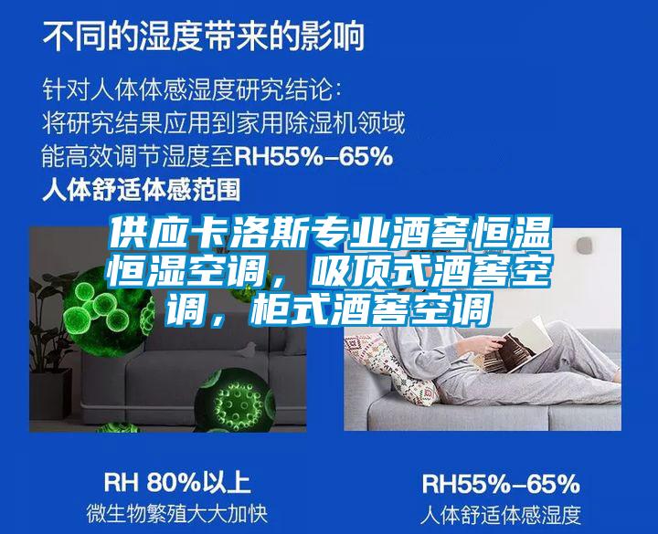 供應卡洛斯專業酒窖恒溫恒濕空調，吸頂式酒窖空調，柜式酒窖空調
