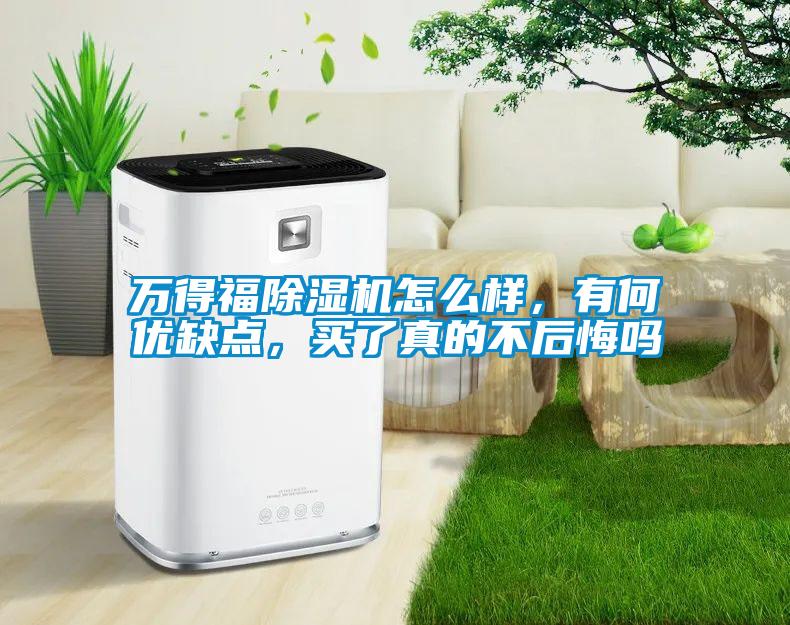 萬得福除濕機怎么樣，有何優(yōu)缺點，買了真的不后悔嗎