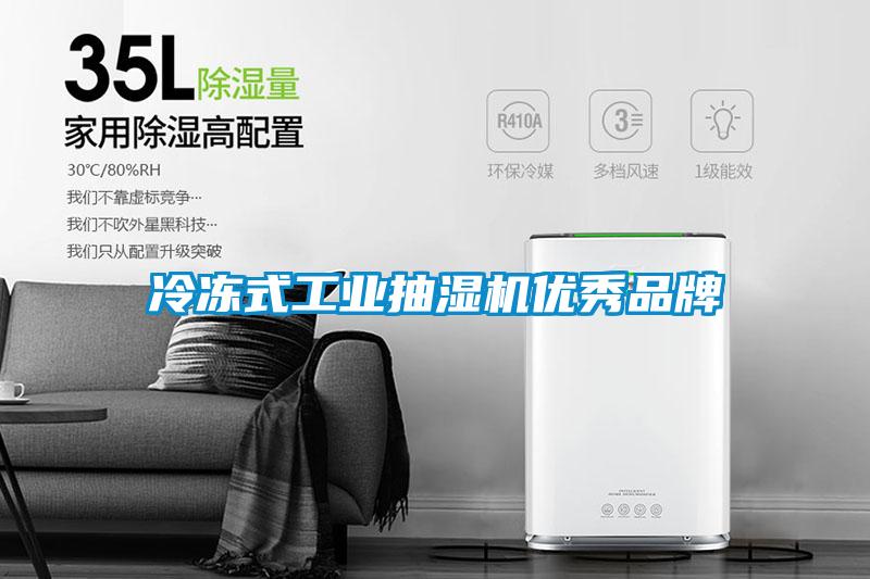 冷凍式工業抽濕機優秀品牌