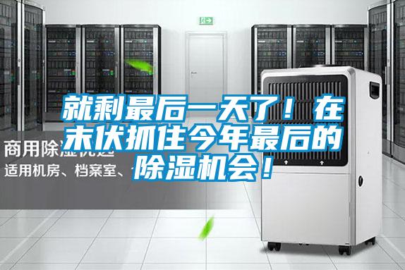 就剩最后一天了！在末伏抓住今年最后的除濕機(jī)會！