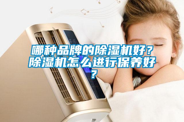 哪種品牌的除濕機好？除濕機怎么進行保養好？