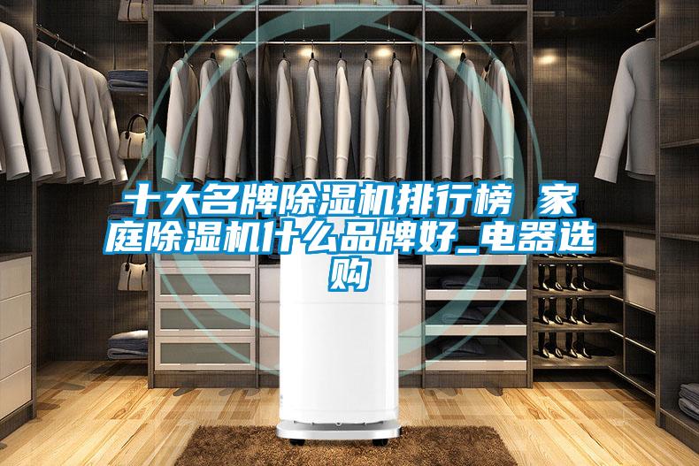 十大名牌除濕機(jī)排行榜 家庭除濕機(jī)什么品牌好_電器選購