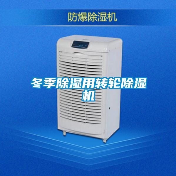 冬季除濕用轉(zhuǎn)輪除濕機(jī)