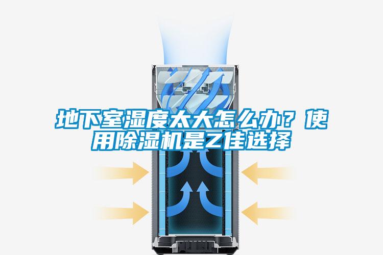 地下室濕度太大怎么辦？使用除濕機是Z佳選擇