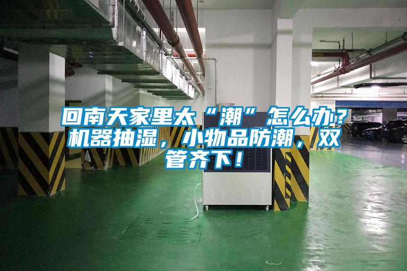 回南天家里太“潮”怎么辦？機(jī)器抽濕，小物品防潮，雙管齊下！