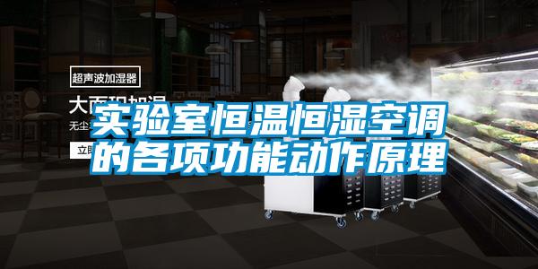實驗室恒溫恒濕空調的各項功能動作原理