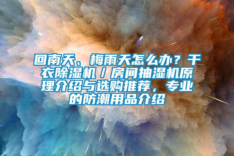 回南天、梅雨天怎么辦？干衣除濕機／房間抽濕機原理介紹與選購推薦，專業的防潮用品介紹
