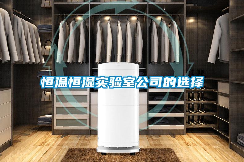 恒溫恒濕實驗室公司的選擇