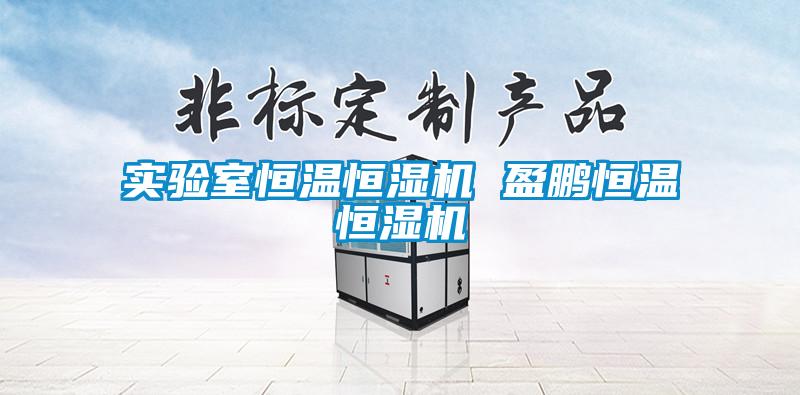 實驗室恒溫恒濕機 盈鵬恒溫恒濕機