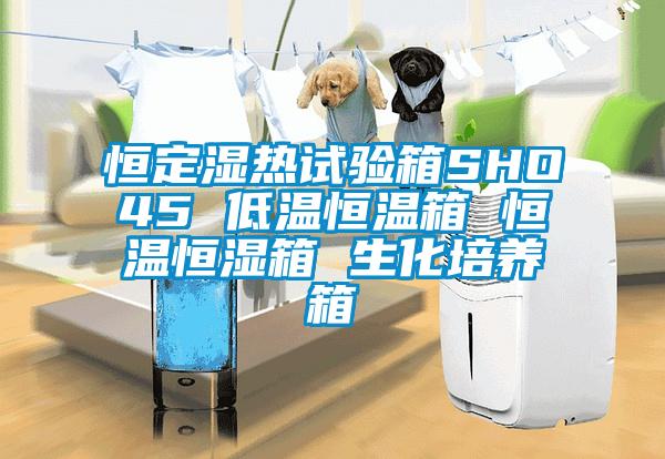 恒定濕熱試驗(yàn)箱SHO45 低溫恒溫箱 恒溫恒濕箱 生化培養(yǎng)箱