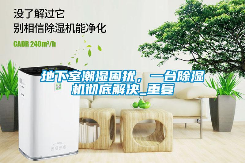 地下室潮濕困擾，一臺除濕機徹底解決_重復(fù)